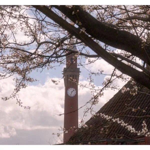 Course Image